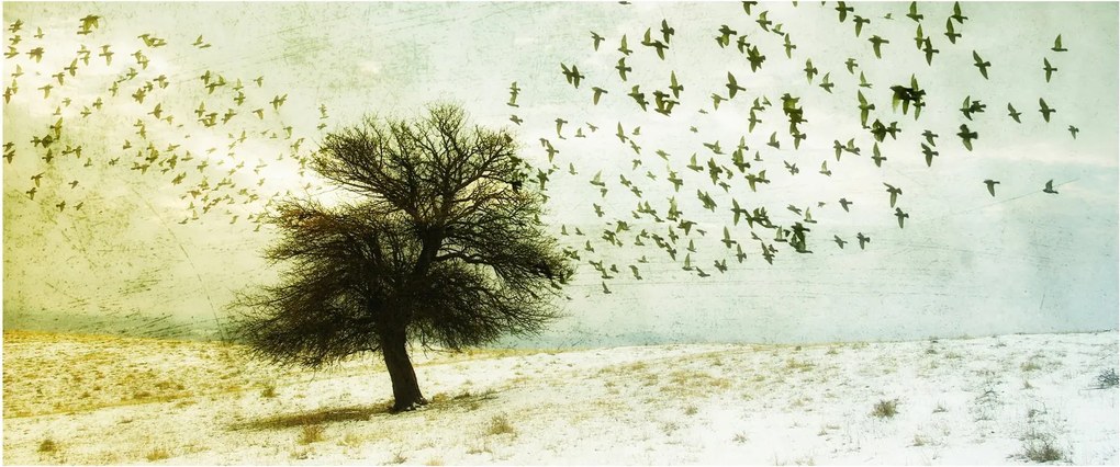 Obraz - Maľovaný kŕdeľ vtákov (120x50 cm)