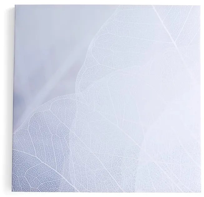 Akustický panel IMAGE, zimný list, 1200x1200 mm, šedá