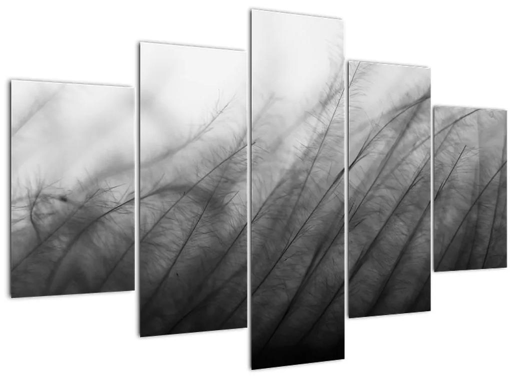 Obraz - Tráva vo vetre (150x105 cm)