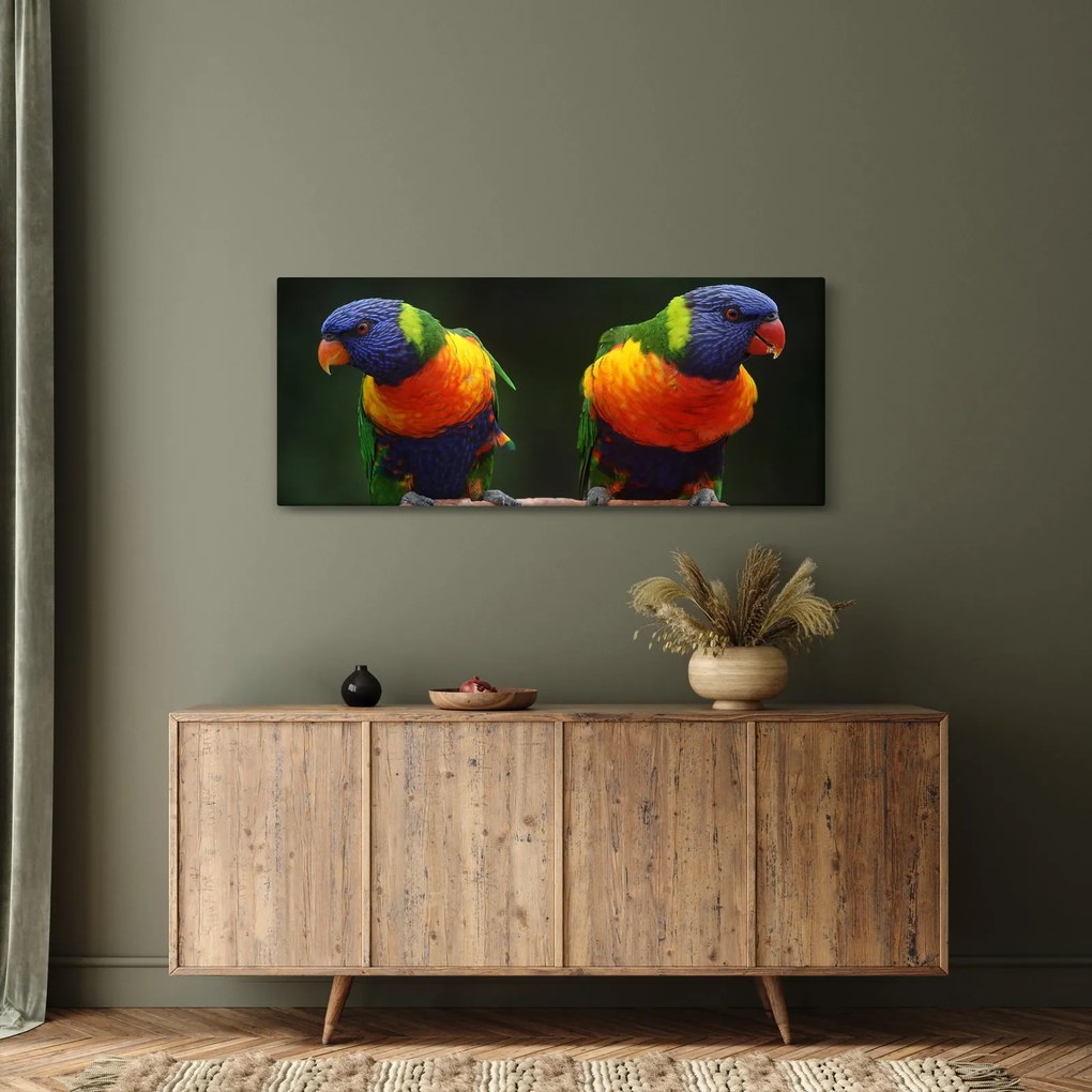 Obraz papagájov (120x50 cm)