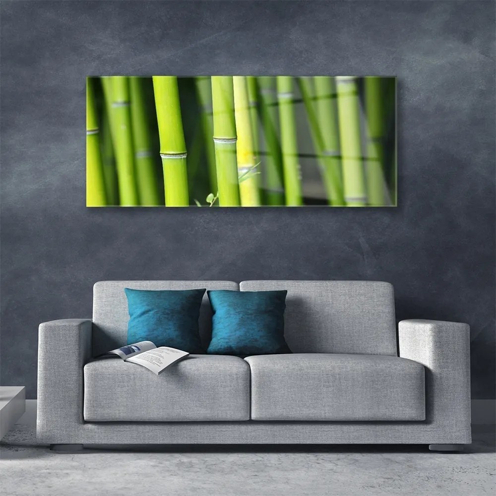 Obraz na akrylátovom skle Bambus príroda rastlina 125x50 cm