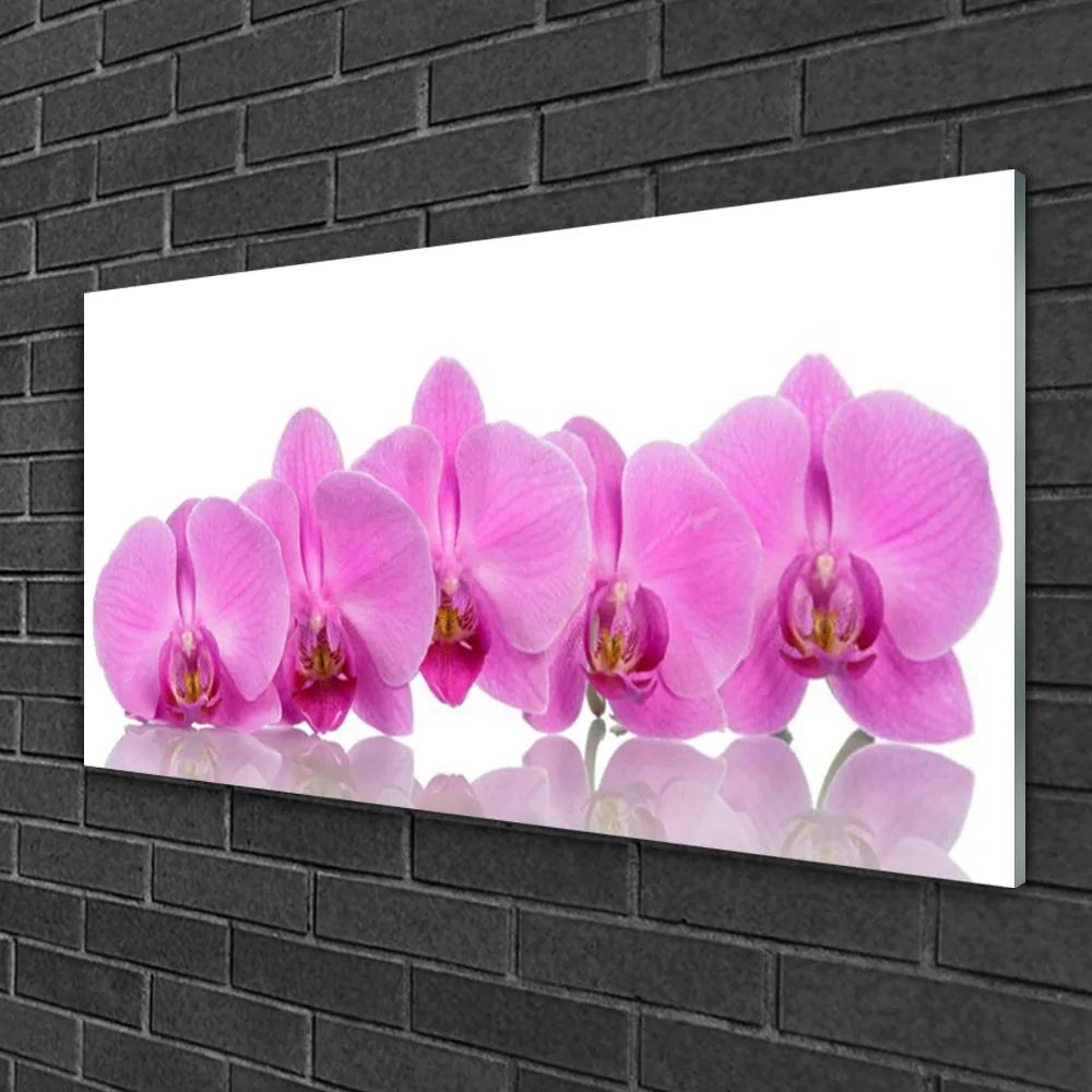 Skleneny obraz Ružová orchidea kvety 120x60 cm