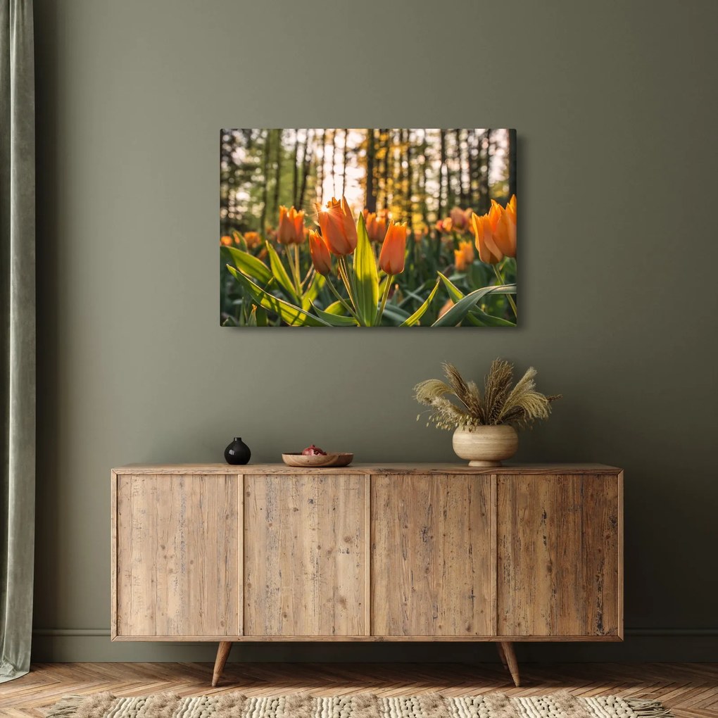 Obraz - oranžové tulipány (90x60 cm)