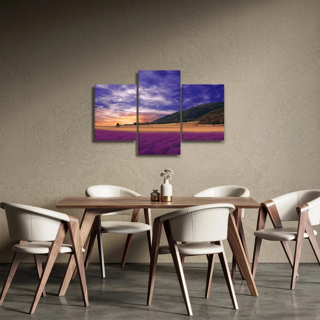 Obraz levanduľovej lúky (90x60 cm)
