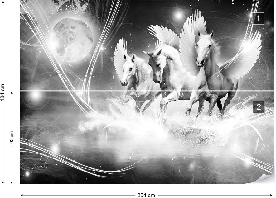 GLIX Fototapeta - Winged Horses Pegasus Black And White Vliesová tapeta  - 254x184 cm