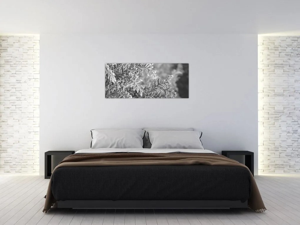 Obraz - Smrekový les (120x50 cm)