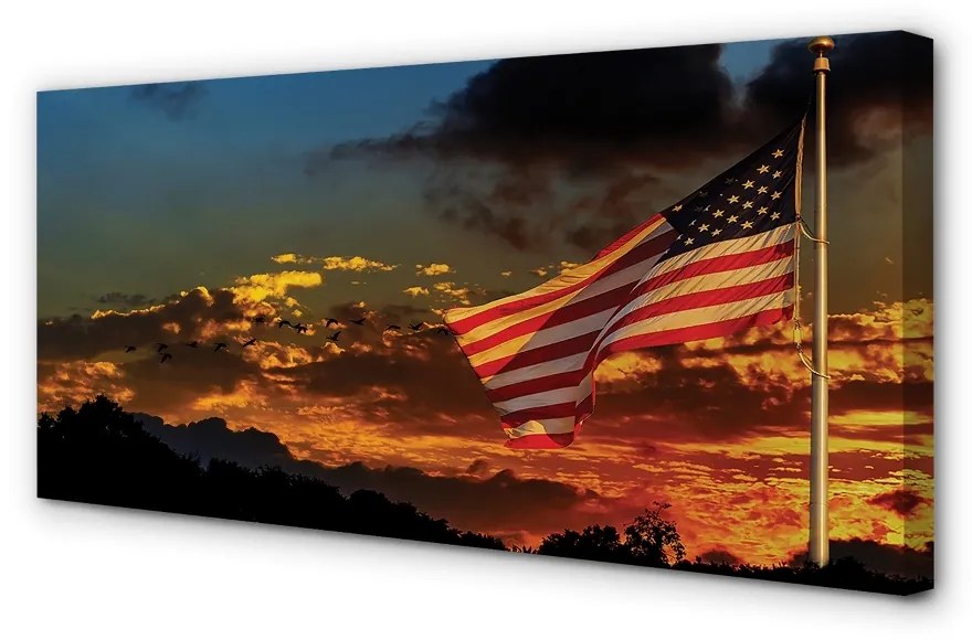 Obraz canvas vlajka USA 120x60 cm