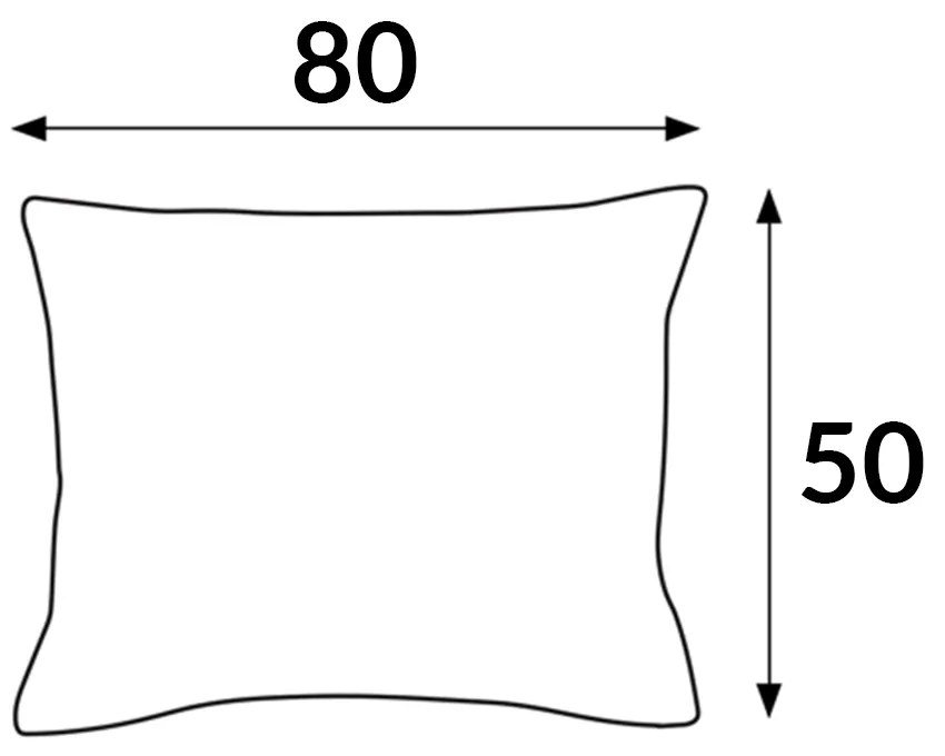 SATÉNOVÁ OBLIEČKA NA VANKÚŠ 50X80 CM ČIERNA