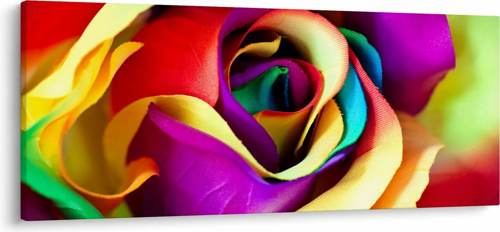 Obraz - Farebná ruža (120x50 cm)