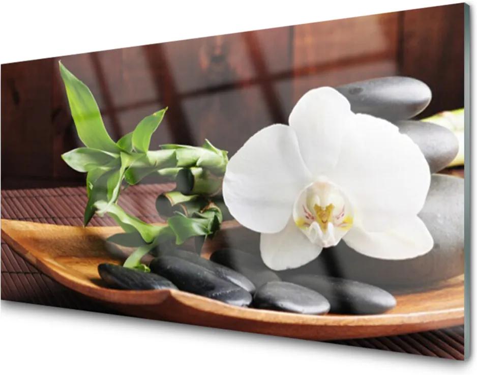 Skleněný obraz Kamene Zen Biela Orchidea