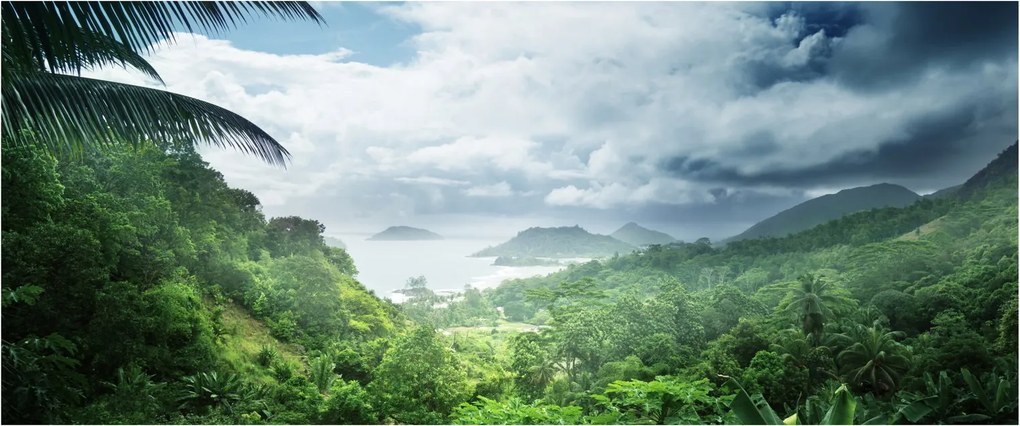 Obraz - Seychelská jungle (120x50 cm)