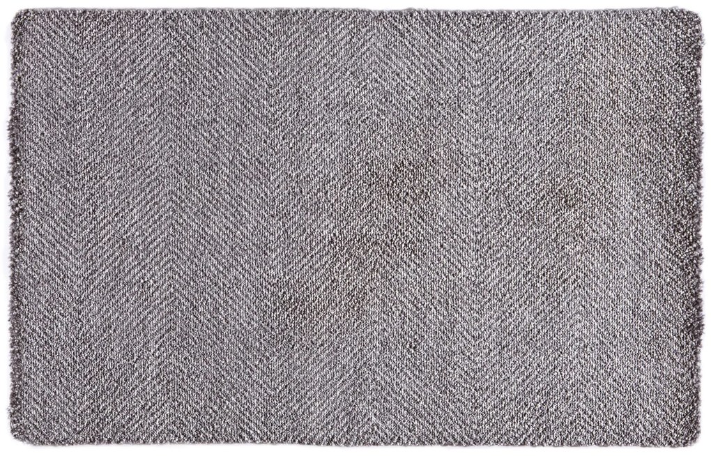 Hanse Home Collection koberce Rohožka Clean & Go 102502 - 100x150 cm