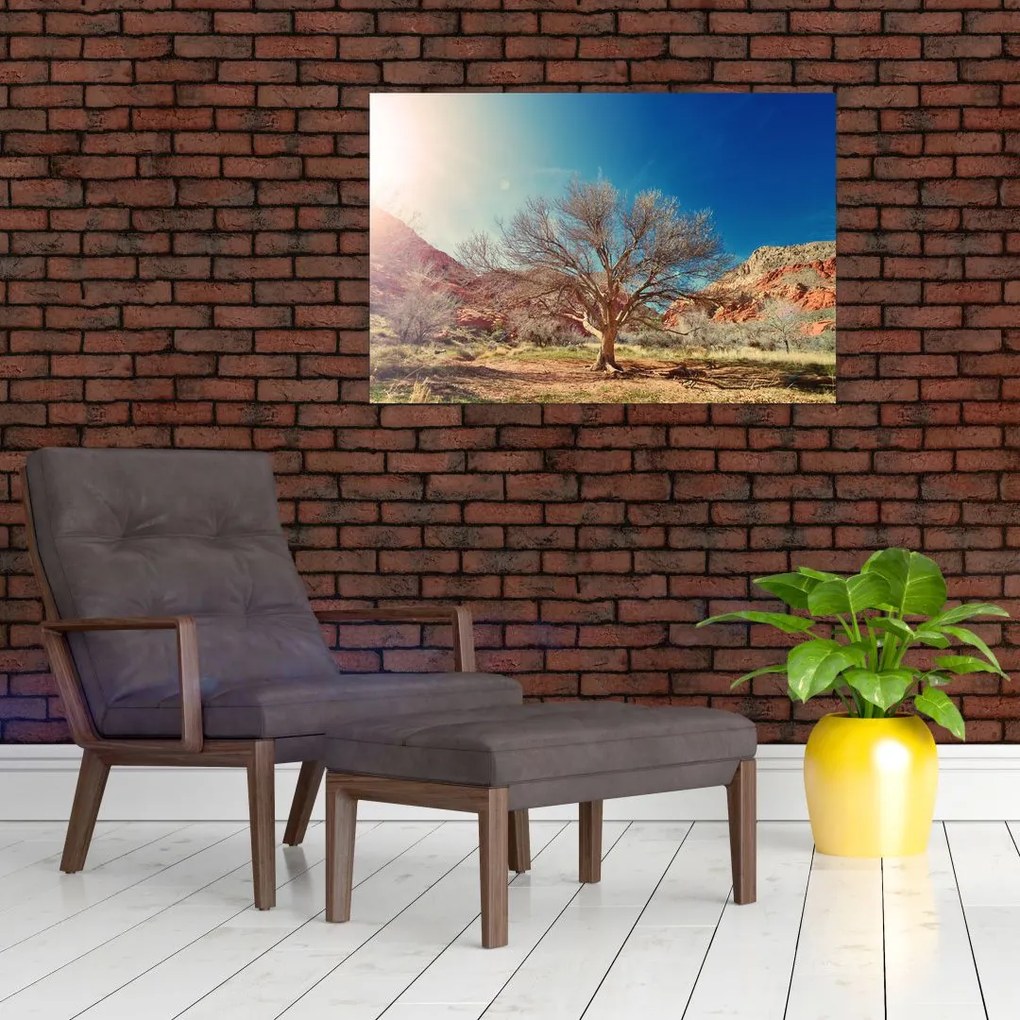 Obraz stromu v púšti (90x60 cm)