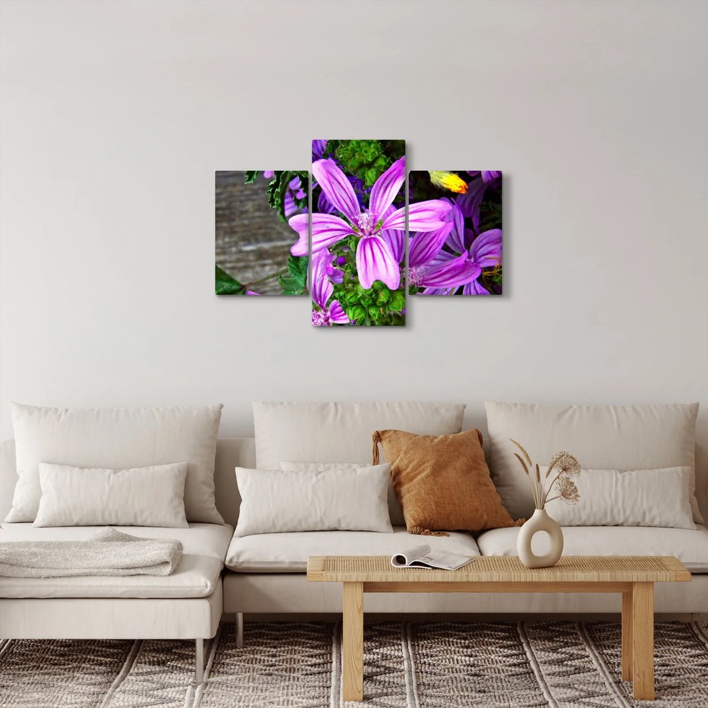 Obraz - lúčne kvety (90x60 cm)