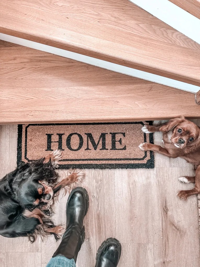 Hanse Home, Rohožka Home kokos 105678 – na von aj na doma, 27x70, hnedá, chodba / predsieň