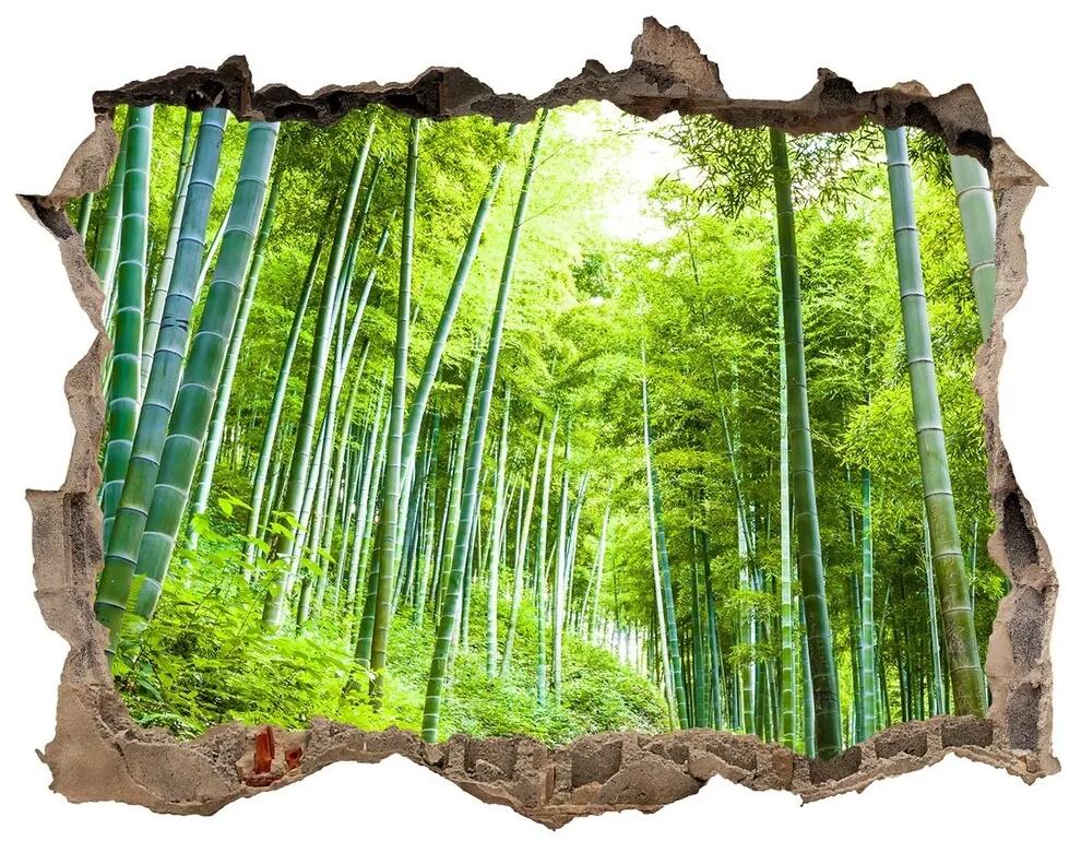 Nálepka fototapeta 3D výhled Bambusové lesy nd-k-60510509