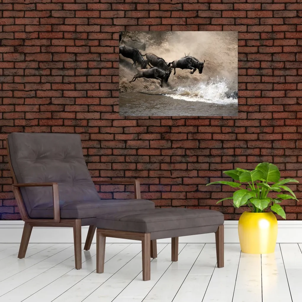 Obraz - Stádo pakoňov (70x50 cm)