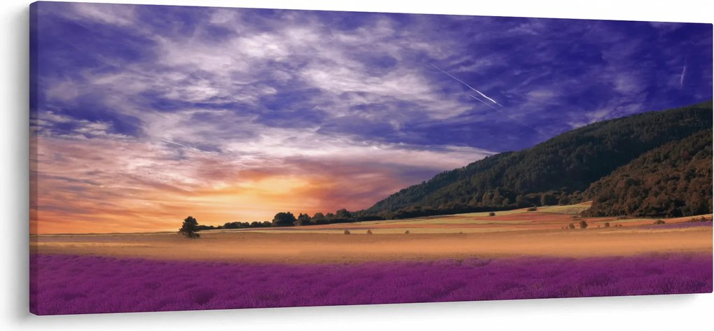Obraz levanduľovej lúky (120x50 cm)