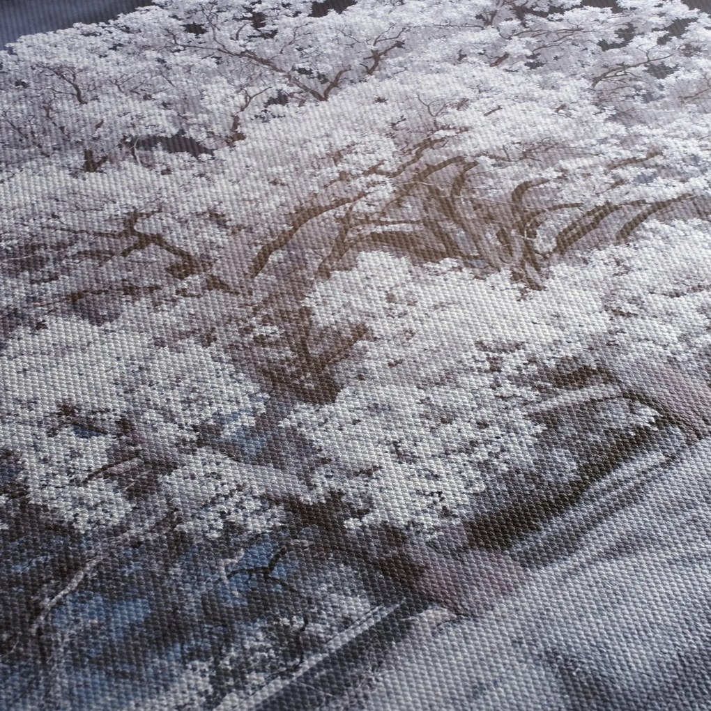Obraz - Snehobiely strom (150x105 cm)