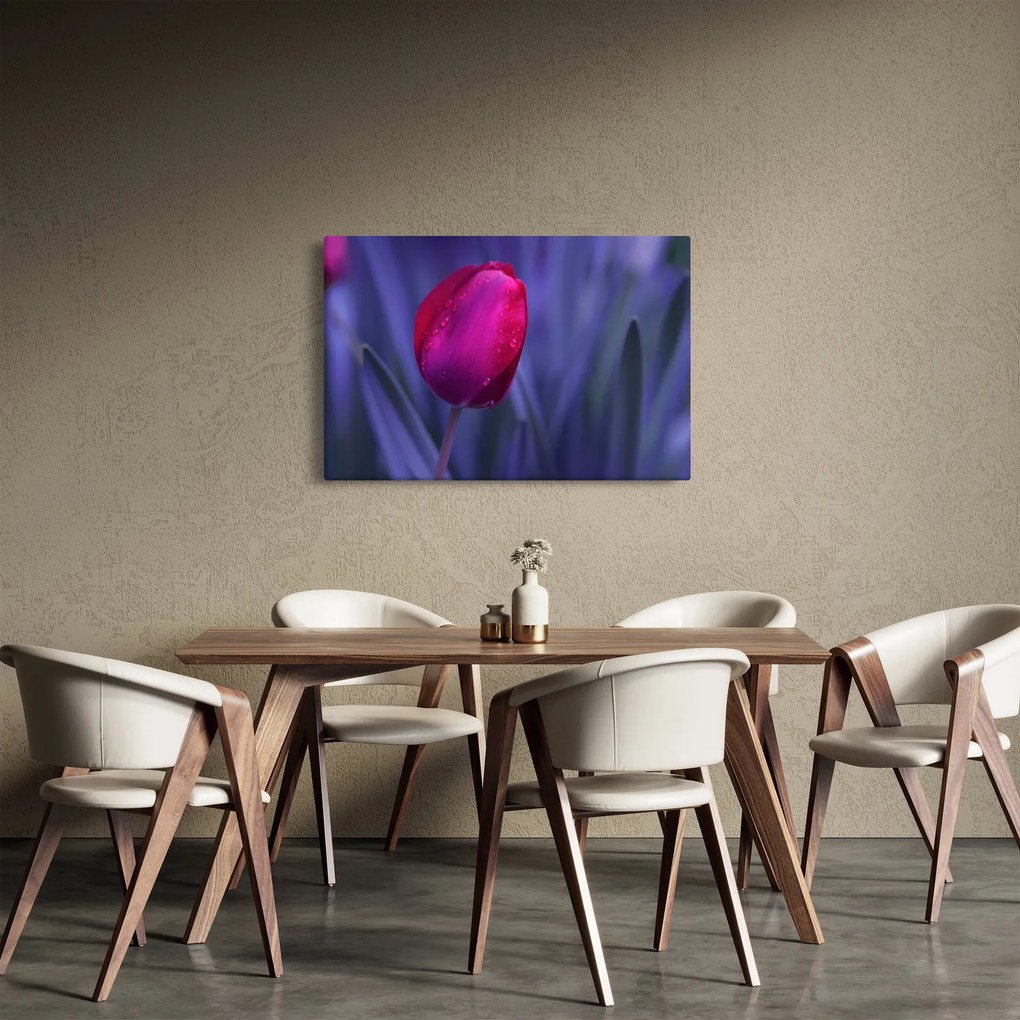 Obraz pupete tulipánu (90x60 cm)