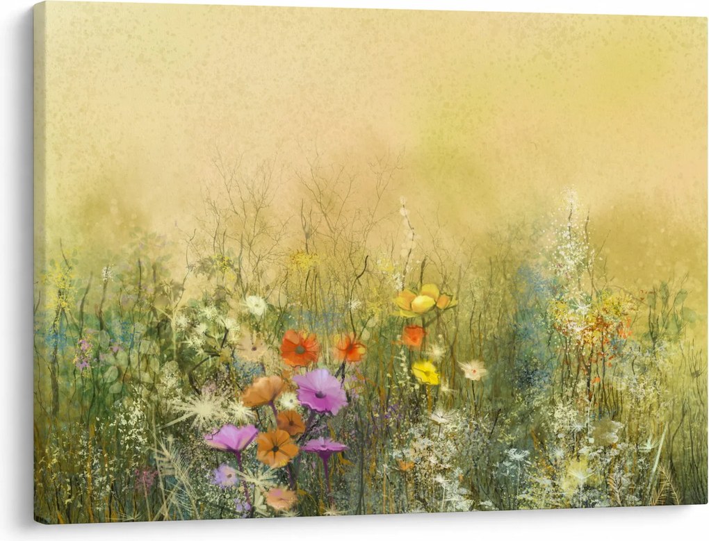 Obraz - Maľovaná lúka (70x50 cm)