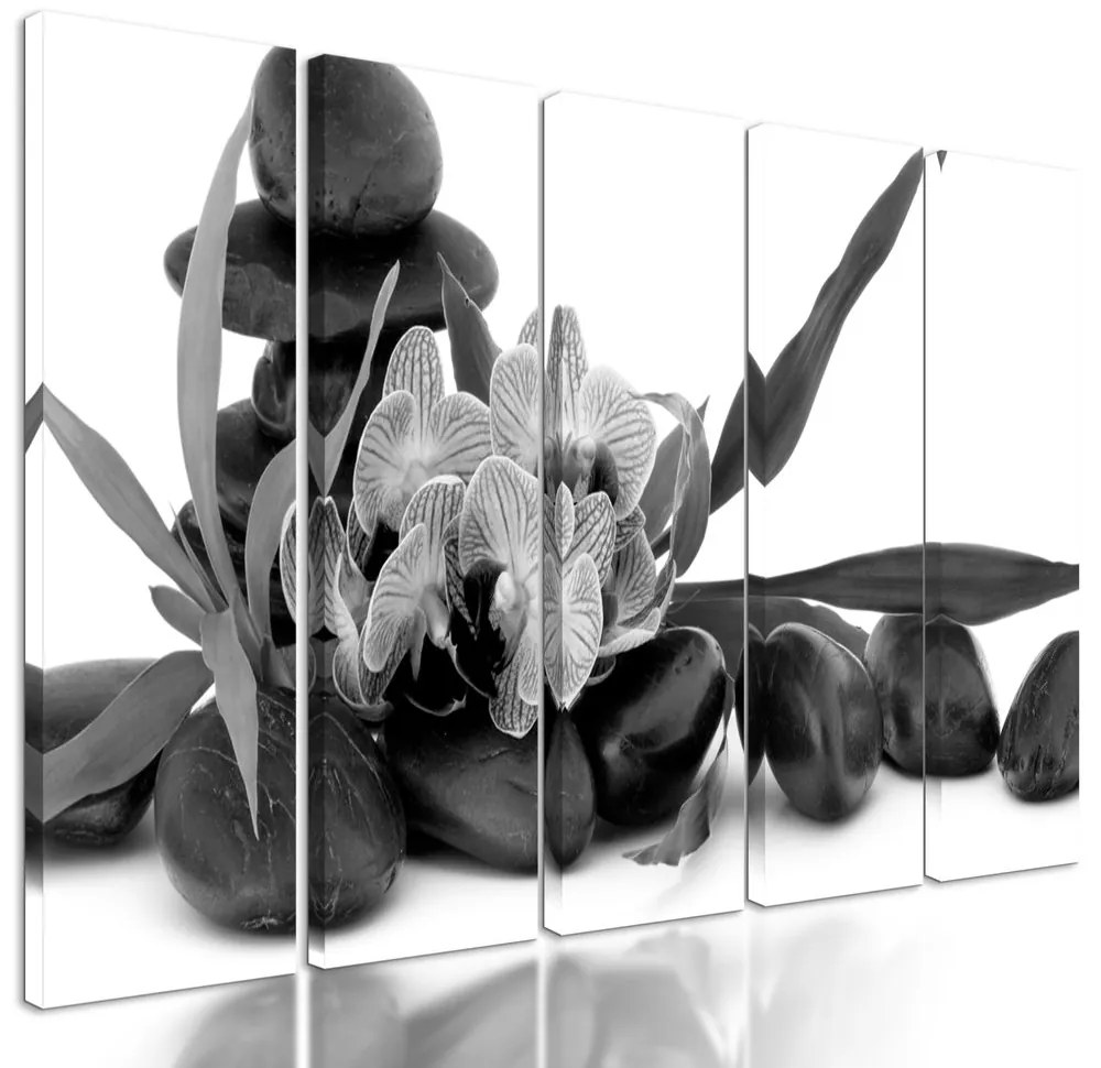 5-dielny obraz čiernobiely kvet orchidei v SPA zátiší