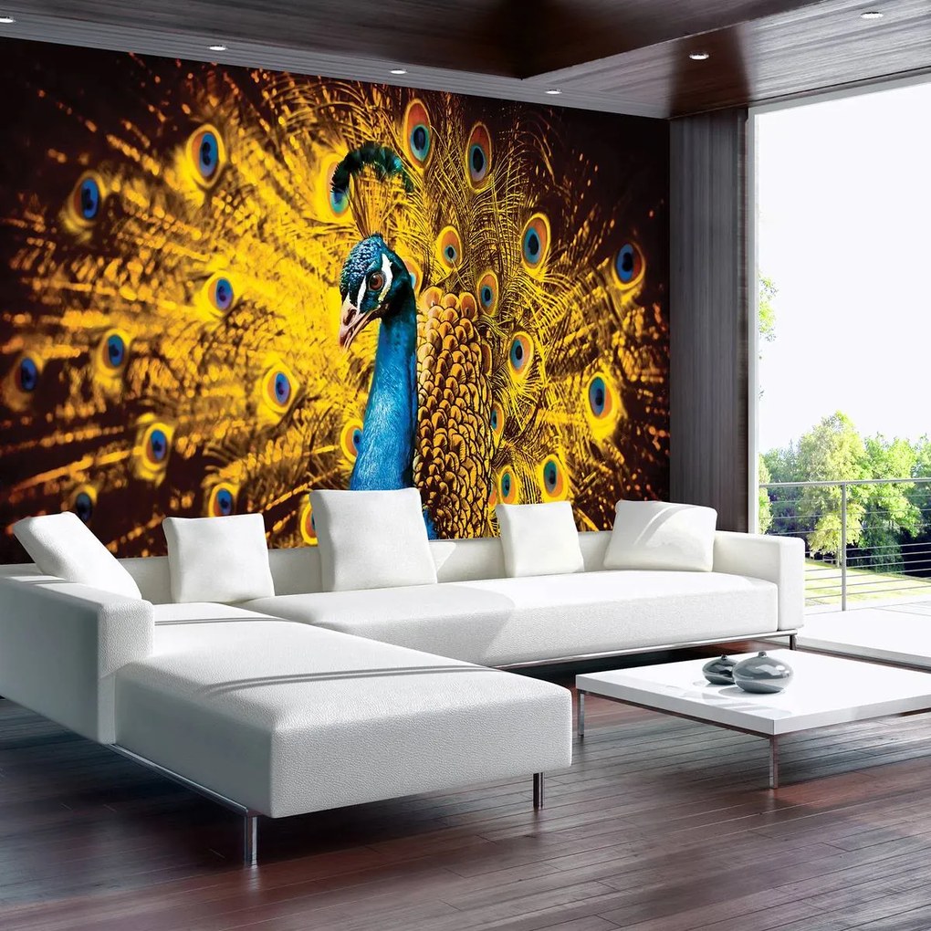 Fototapeta - Páv so žltým perím (254x184 cm)