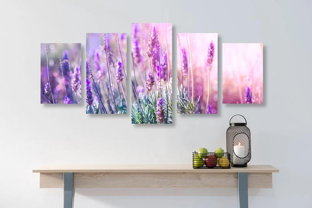5-dielny obraz kúzelné kvety levandule Varianta: 100x50