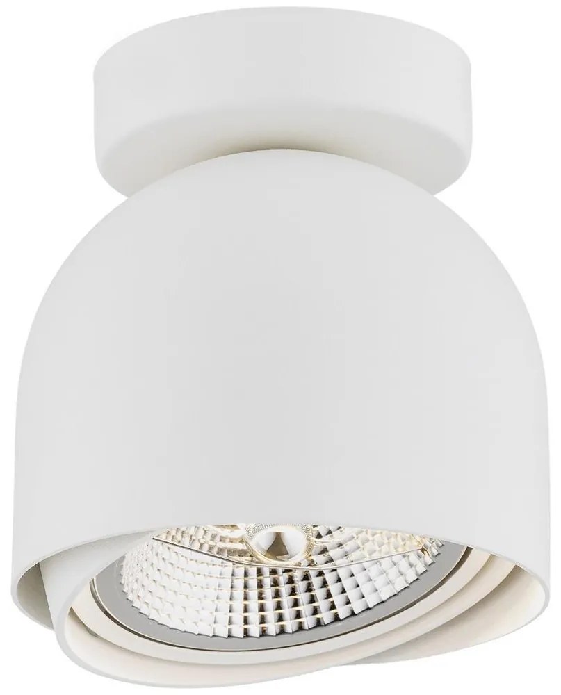 Argon 4710 - Bodové svietidlo GARLAND 1xGU10-AR111/12W/230V biela AR4710