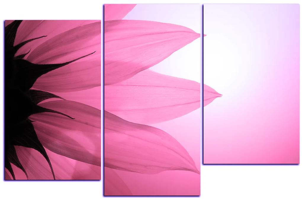 Obraz na plátne - Slnečnica kvet 1201VD (105x70 cm)