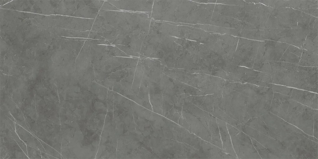 Dlažba Tessino Grey Natural 60x120 R