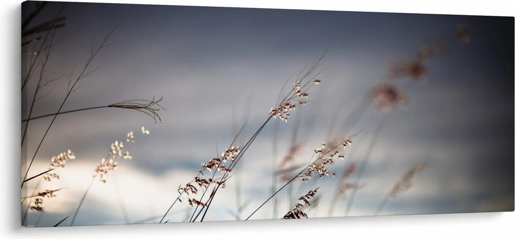 Obraz - Lúčne kvety pri jazere (120x50 cm)