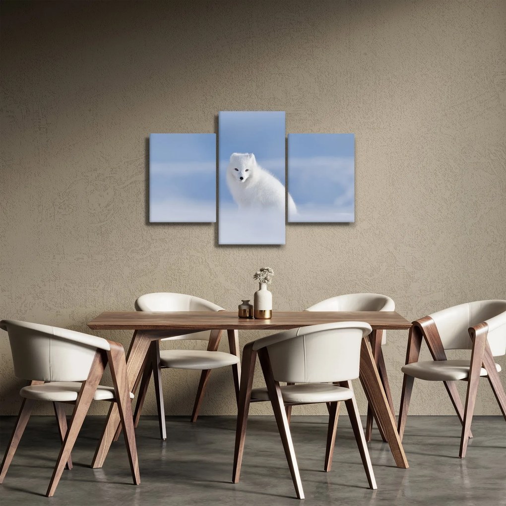 Obraz - Polárna líška (90x60 cm)