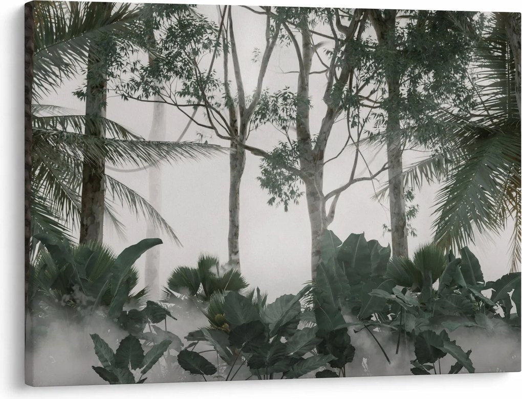 Obraz - Jungle v rannej hmle (70x50 cm)