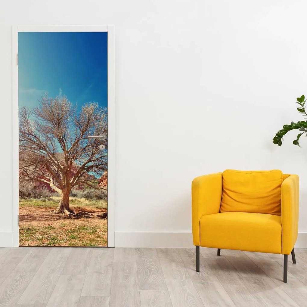 Fototapeta na dvere - Strom v púšti (95x205cm)