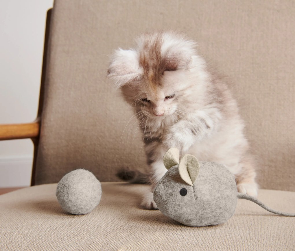 Súprava hračiek pre mačku