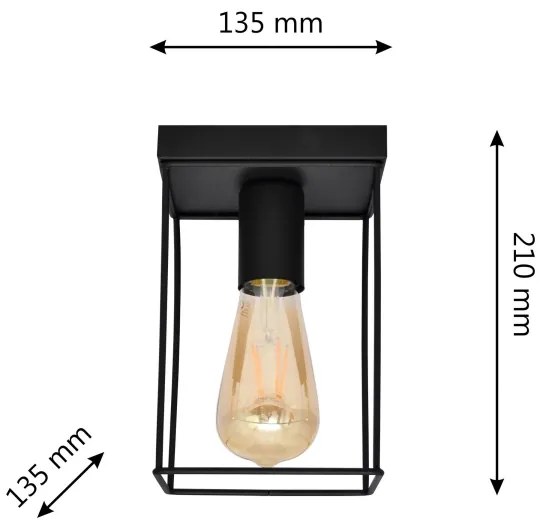 Stropné svietidlo FINN 1xE27/15W/230V čierna