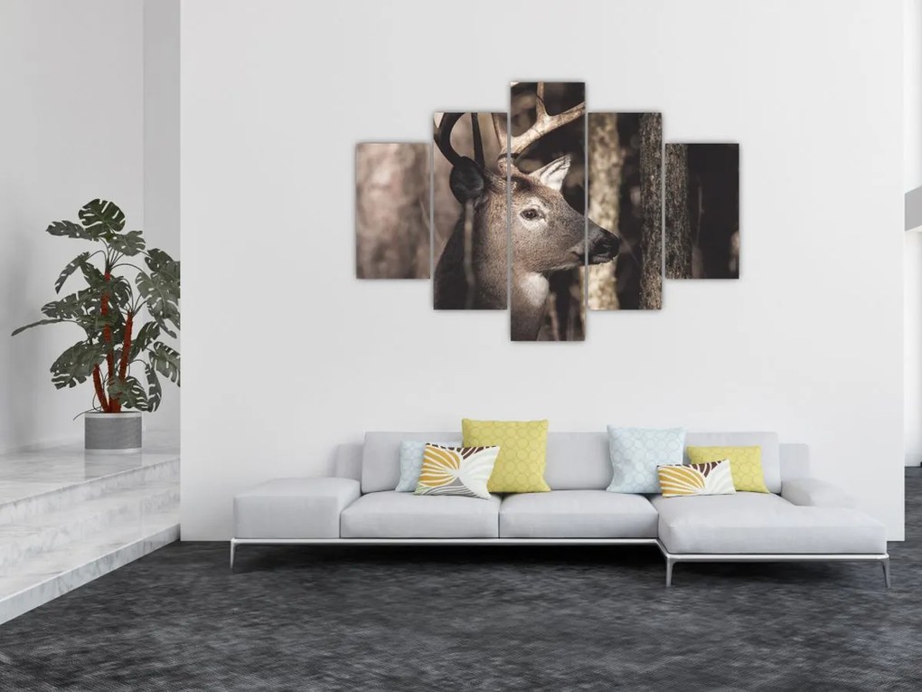 Obraz - Jeleň v lese (150x105 cm)