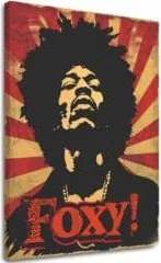 Jimi Hendrix obraz na plátne - Legenda zvuku