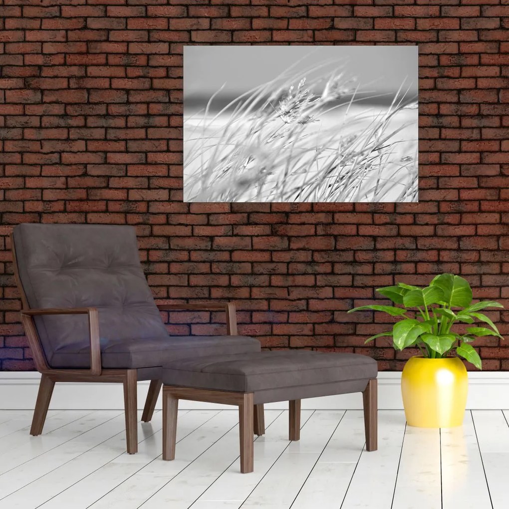 Obraz - Plážová tráva (90x60 cm)