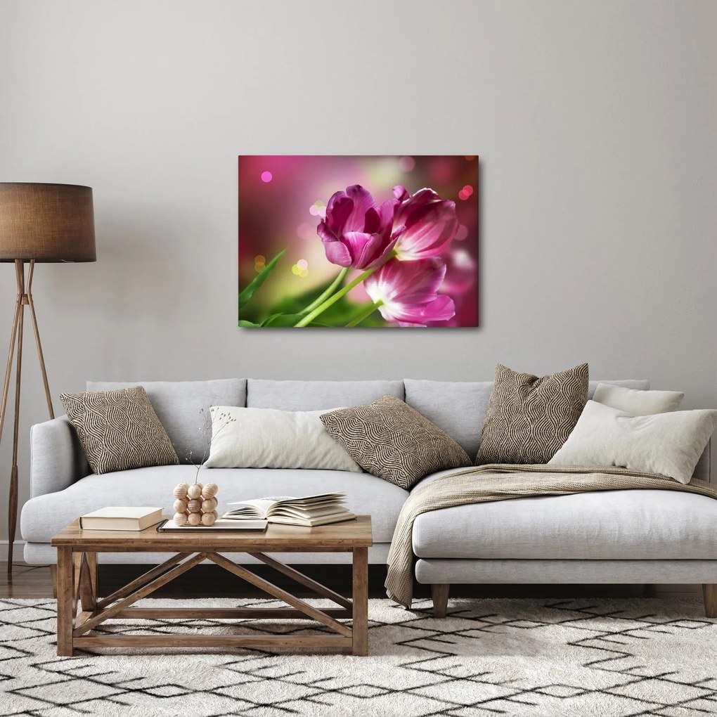 Obraz ružových tulipánov (70x50 cm)