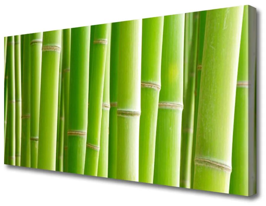 Obraz na plátne Bambus stonka kvet rastlina 140x70 cm