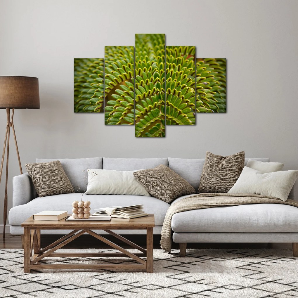 Obraz - Papraď (150x105 cm)
