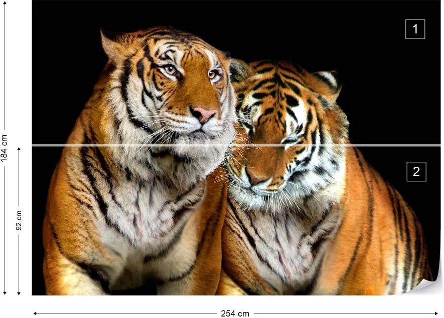 Fototapeta GLIX - Tigers + lepidlo ZADARMO Vliesová tapeta  - 254x184 cm