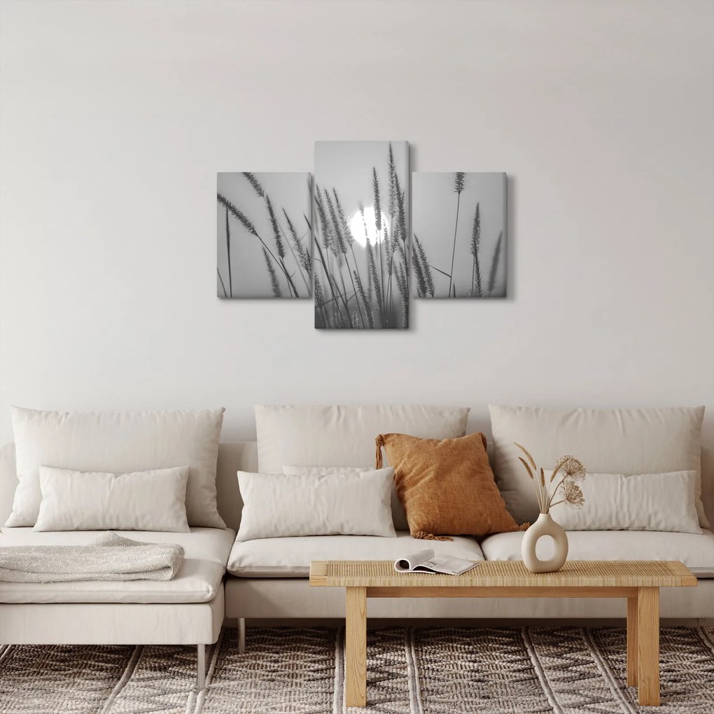 Obraz - Lúka pri západe slnka (90x60 cm)