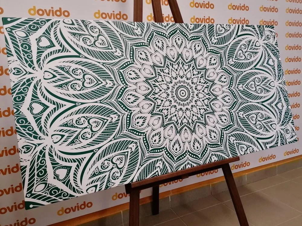 Obraz Mandala harmónie na zelenom pozadí