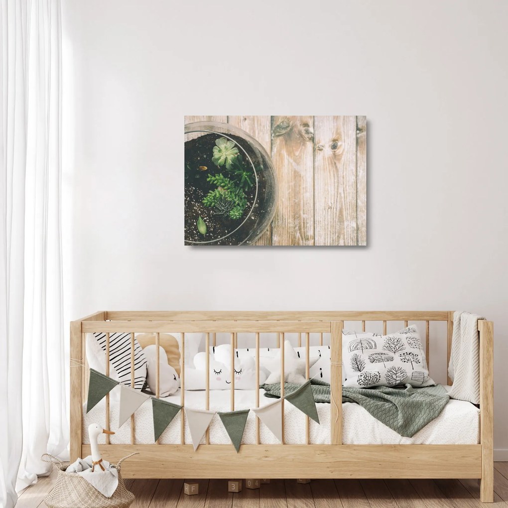 Sklenený obraz sukulentov v skle (70x50 cm)