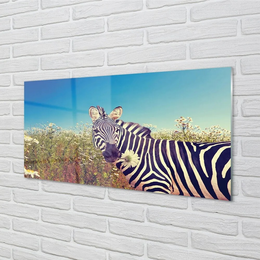 Sklenený obraz zebra kvety 100x50 cm