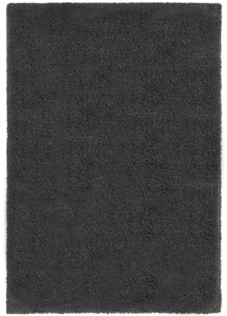 Flair Rugs, Kusový koberec Shaggy Teddy Charcoal, 120x170, šedá, obývacia izba