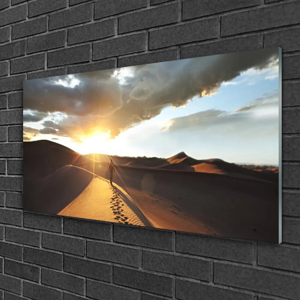 Skleneny obraz Púšť krajina 125x50 cm